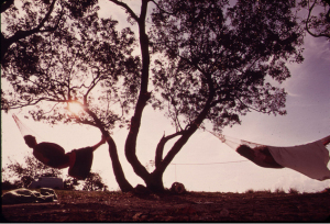 hammock