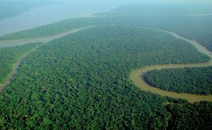 Amazon river