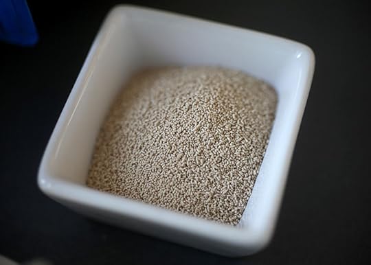 Active Dry Yeast