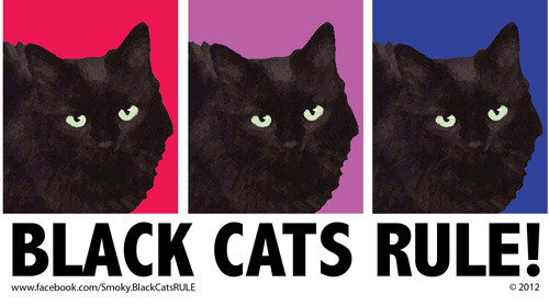 Smoky wants you to know that BLACK CATS RULE!
