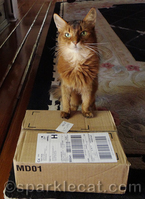 Chewy.com to the rescue!