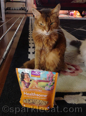 WHERE ARE THE TREATS?