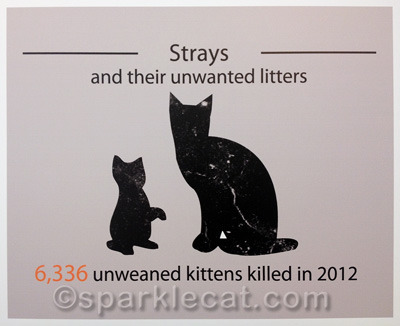 A very sad statistic