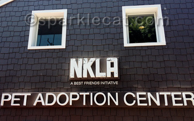 The front of the adoption center