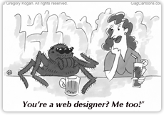 web-designer