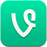 2013-vinelogo