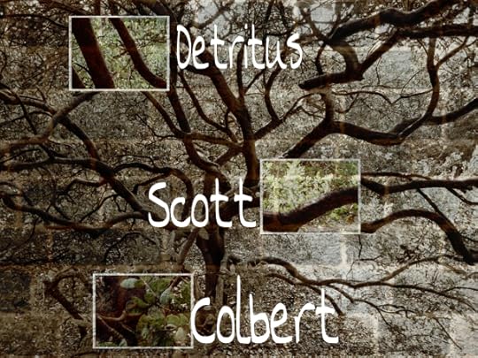 Detritus