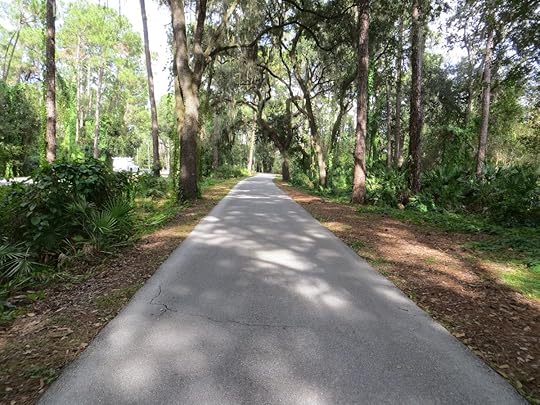Paved Exercise Path