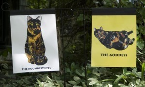 cat_garden_flags