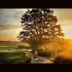 Countryside - Lipperland