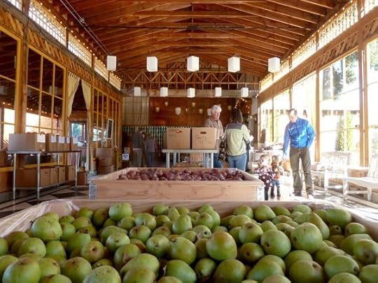 apple-bins