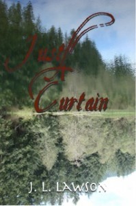 Curtain cover