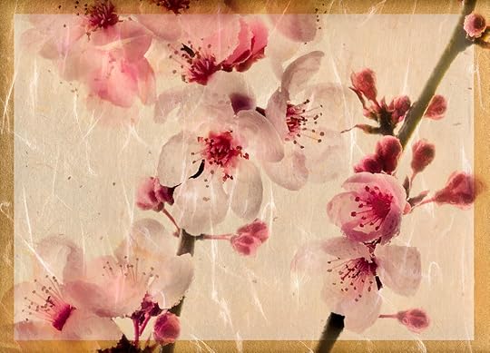Cherry Dance © Harold Davis