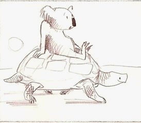 koala and tortoise
