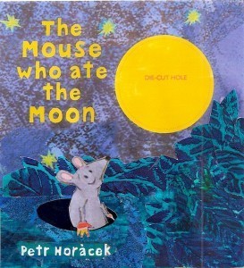cover 1