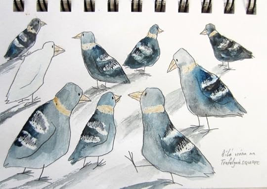 Bila vrana na Trafalgar's square