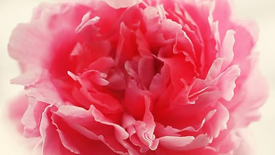 RHS Chelsea Flower Show
