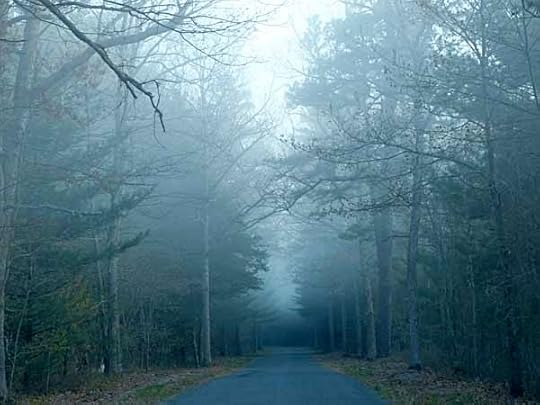 FoggyRoad