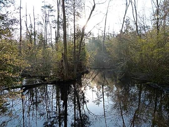 BelleplainBeaverPond