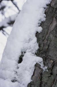 snow
