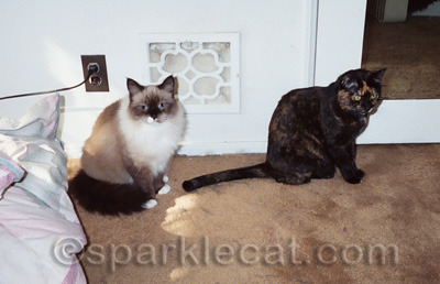 Yeah, they weren't too happy to see me either