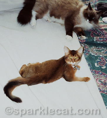 We were plotting World Domination!