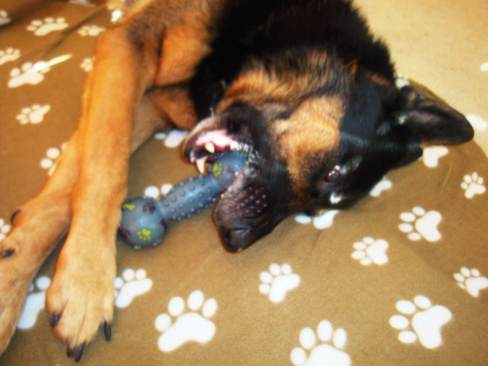 Magic's New Toy