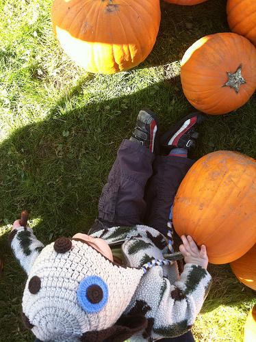 Emile sitting in a pumpkin patch