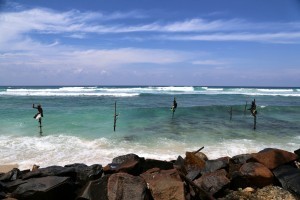 Stilt Fishermen
