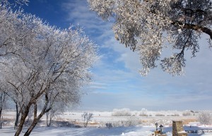 Saskatchewan Winter