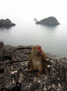 The Perpetrator/Scenic View (Photo Credit: Kate Scott) 