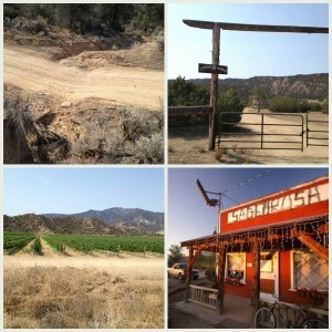 Runnels_vineyards_Sagebrush Annies