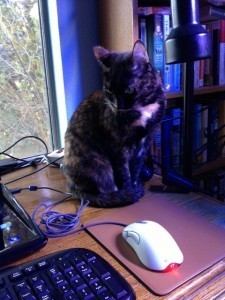 13A Oobie frustrated