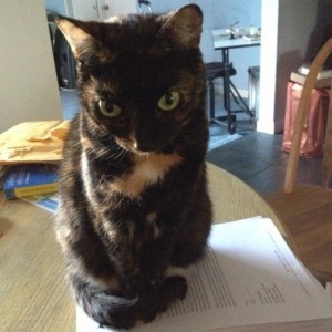 13A Oobie on Copy edits