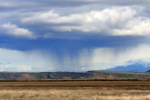 Walking rainstorm in the desert. Photo: Erin and Lance Willett Flickr/Creative Commons License