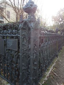 Sunflower post on the cornstalk fence. 