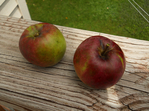 two apples