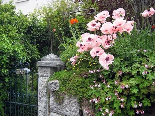 Gate with Poppies