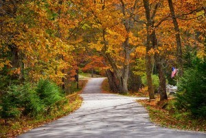 FallSceneTT