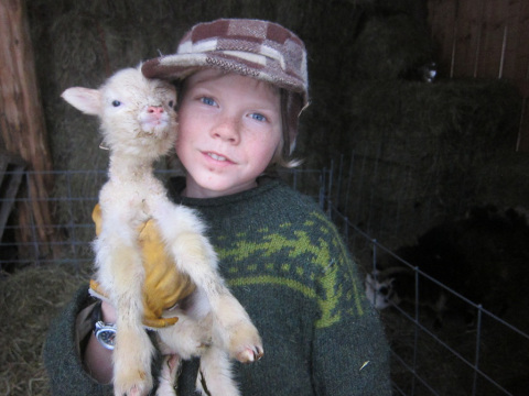 winter 20101-20111 1474