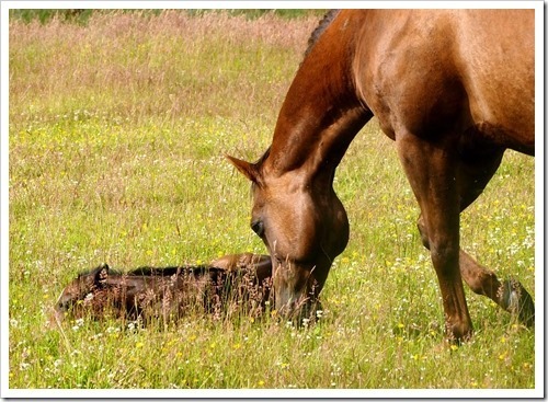 8 July 1 08-07-2013 08-48-43