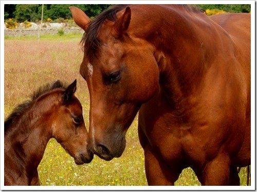 8 July 2 08-07-2013 09-03-16