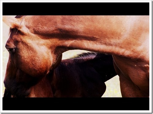 8 July 3 08-07-2013 09-03-45