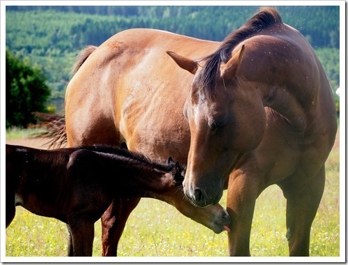 8 July H16 08-07-2013 09-07-007