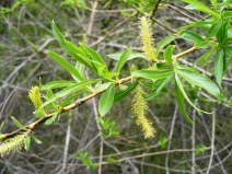 ???????????????????????????????