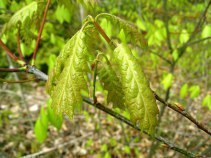 ???????????????????????????????