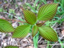 ???????????????????????????????