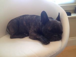Lulu resting up for the big welterweight bout.