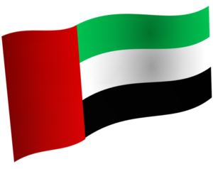 The Flag of the UAE (shown as artistically waving)