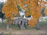 oakwood